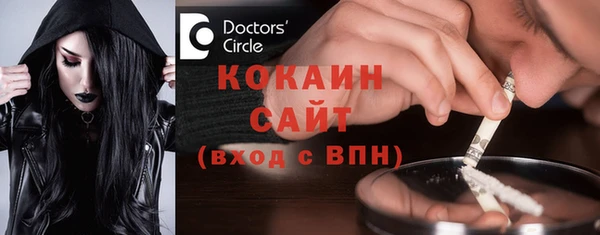 сатива Бронницы