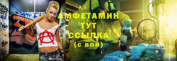 сатива Бронницы