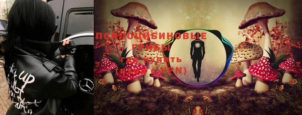 мет Богданович