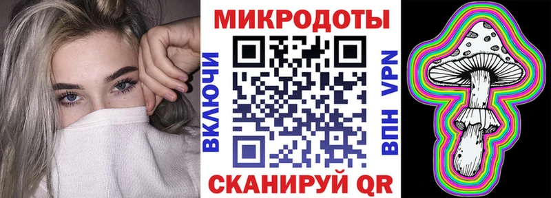 Галлюциногенные грибы Psilocybine cubensis  Велиж 